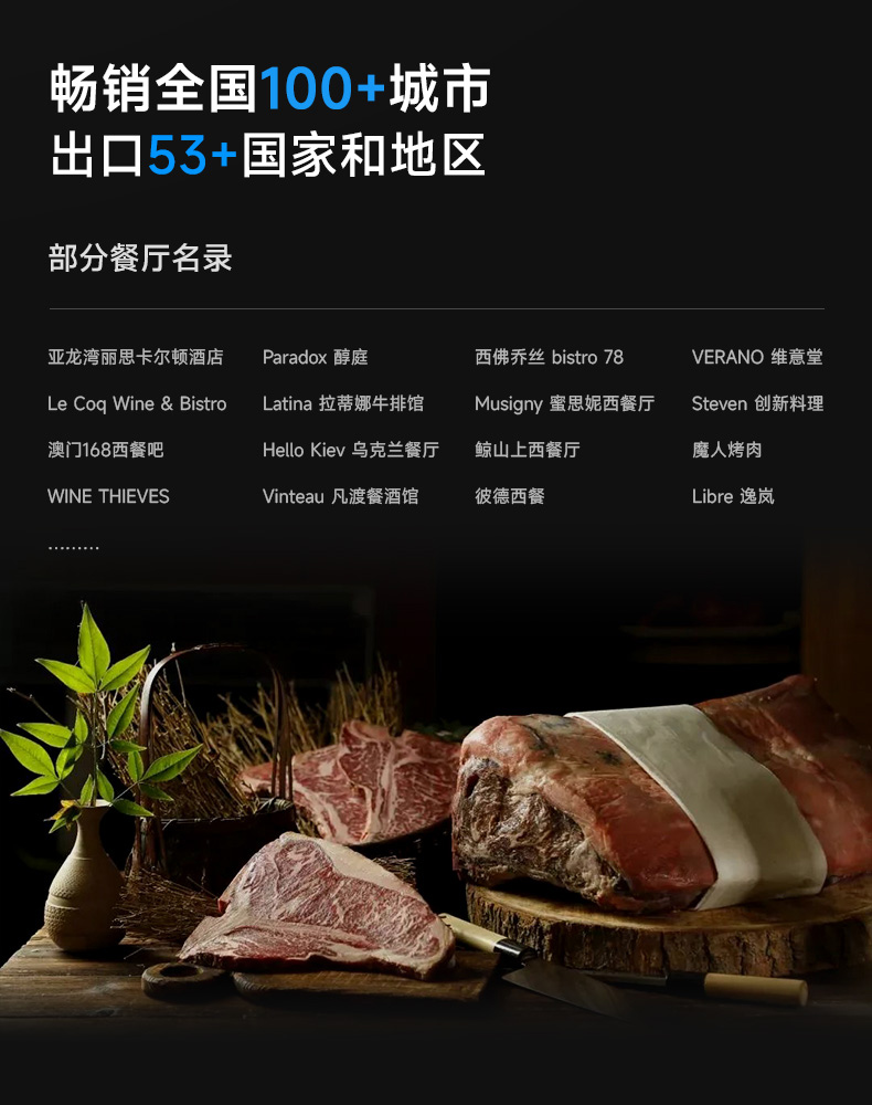 牛肉熟成柜銷售全國各地